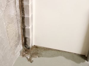 How Did Water Get Into My Basement?